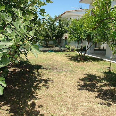 Antheia'S House Villa Nea Skioni Dış mekan fotoğraf